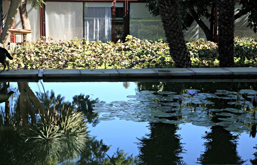 Hotel Emblematico Casa Casilda Tacoronte Exterior foto